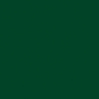 Цвет радиатора IRSAP: Лесной зеленый· Ral 6005 G Код. 19