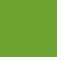 Цвет радиатора IRSAP: Зеленая трава Ral 6018 G Код. N3