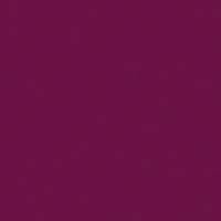 Цвет радиатора IRSAP: Фиолетовый Ral 4006 G Код. R6