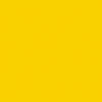 Цвет радиатора IRSAP: Желтый Ral 1021 G Код. 04