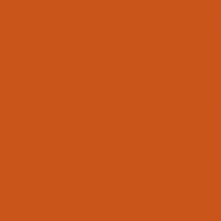 Цвет радиатора IRSAP: Oранжевый Ral 2004 G Код. 17