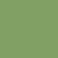 Цвет радиатора IRSAP: Серовато-зеленый Ral 6021 G Код. E6